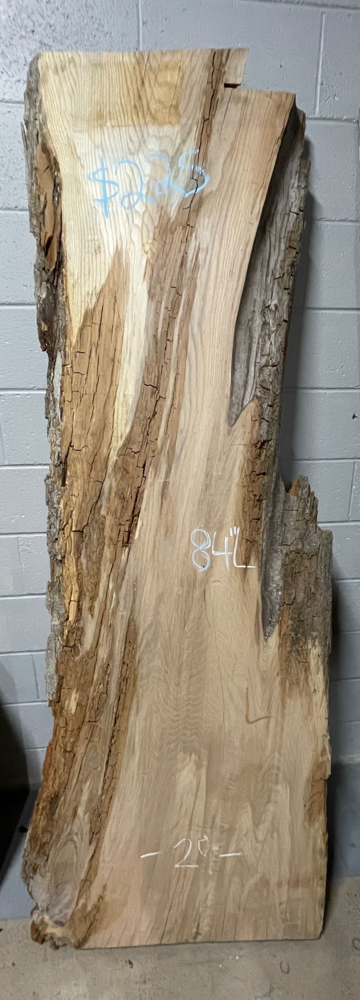 White Ash Live Edge Slab 10/4 #0037 ✔️