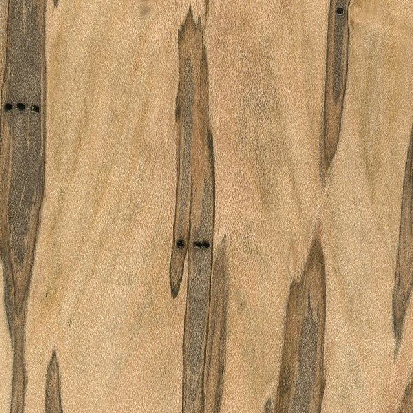Maple (Ambrosia) Hardwood Lumber