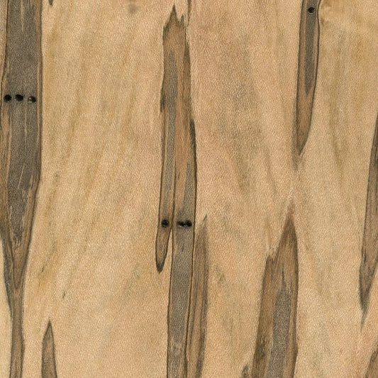 Maple (Ambrosia) Hardwood Lumber