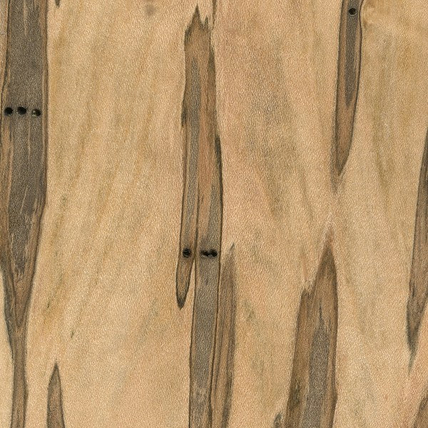 Maple (Ambrosia) Hardwood Lumber Packs